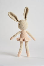 Load image into Gallery viewer, Juanita the Bunny