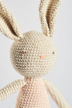 Load image into Gallery viewer, Juanita the Bunny