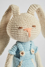 Load image into Gallery viewer, Pedro the Bunny