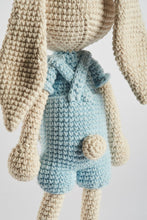 Load image into Gallery viewer, Pedro the Bunny