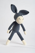 Load image into Gallery viewer, Roque the Donkey