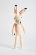 Load image into Gallery viewer, Pink Honey Donkey