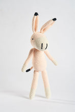 Load image into Gallery viewer, Pink Honey Donkey