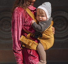 Load image into Gallery viewer, Gold Velvet Baby Carrier
