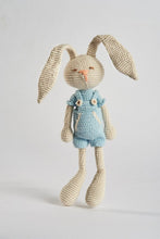 Load image into Gallery viewer, Pedro the Bunny

