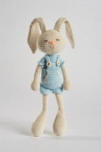 Load image into Gallery viewer, Pedro the Bunny
